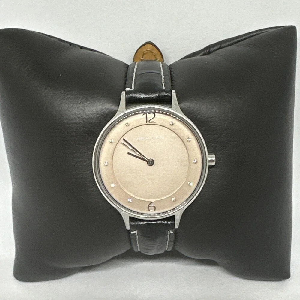 Skagen Anita SKW2649 Women's Leather Straps Analog Dial Quartz Wristwatch HME690